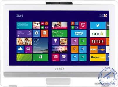 моноблок MSI AE201-051RU
